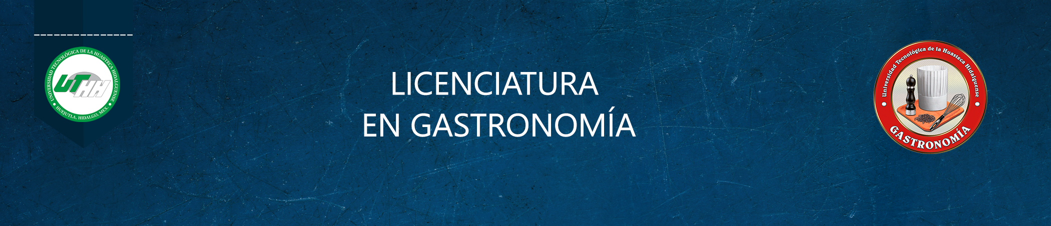 LICENCIATURA EN INGENIERA GASTRONOMIA